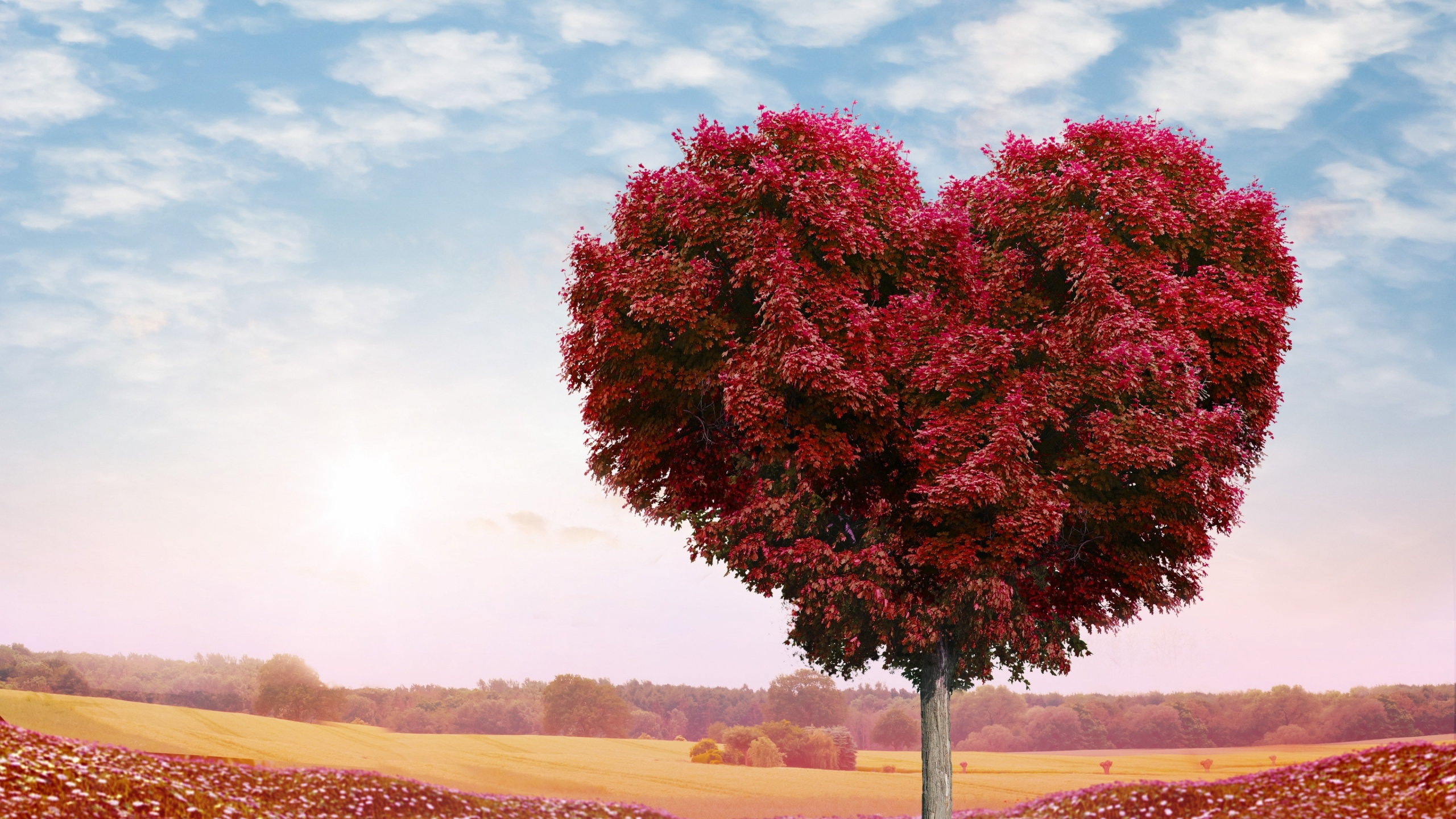 Tree Heart, Heart, Tree, Red, Nature. Wallpaper in 2560x1440 Resolution
