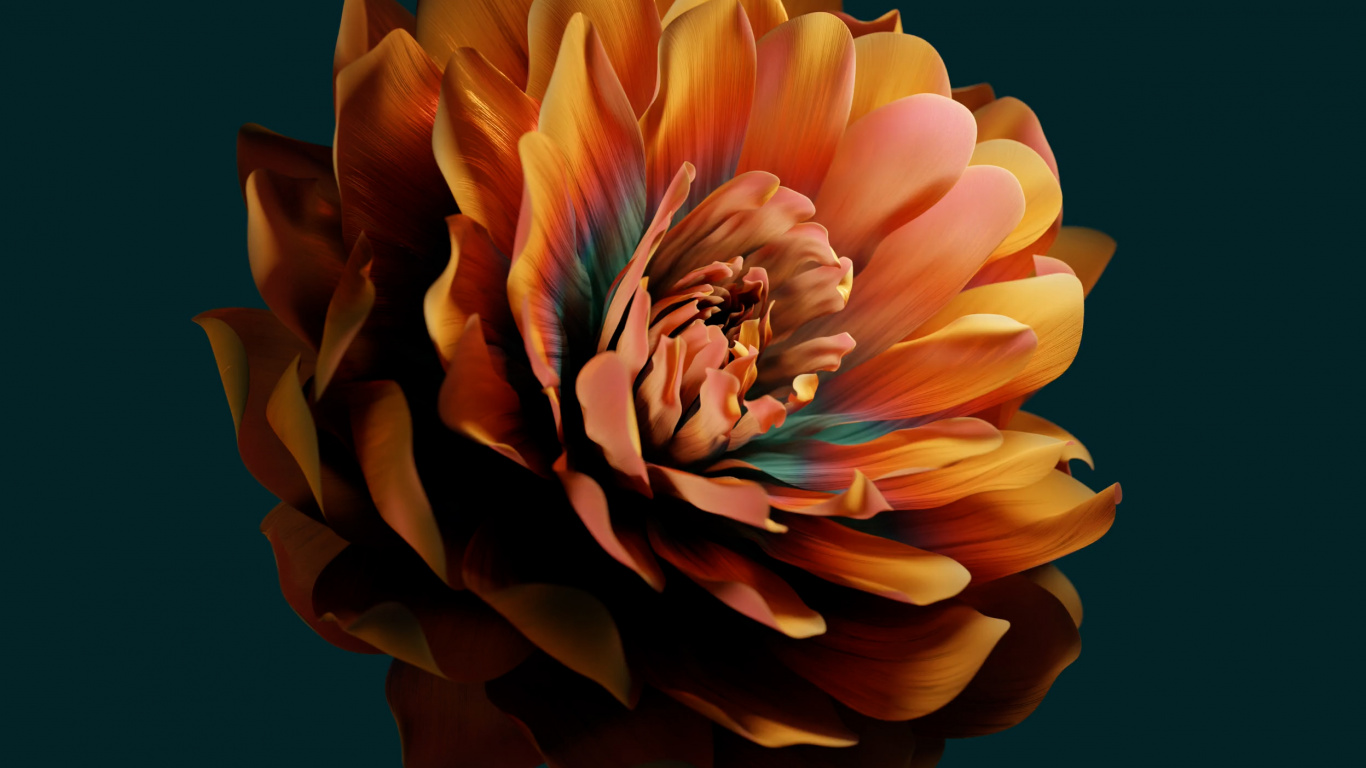 Huawei, Huawei Emui, Xiaomi, Blütenblatt, Gelb. Wallpaper in 1366x768 Resolution