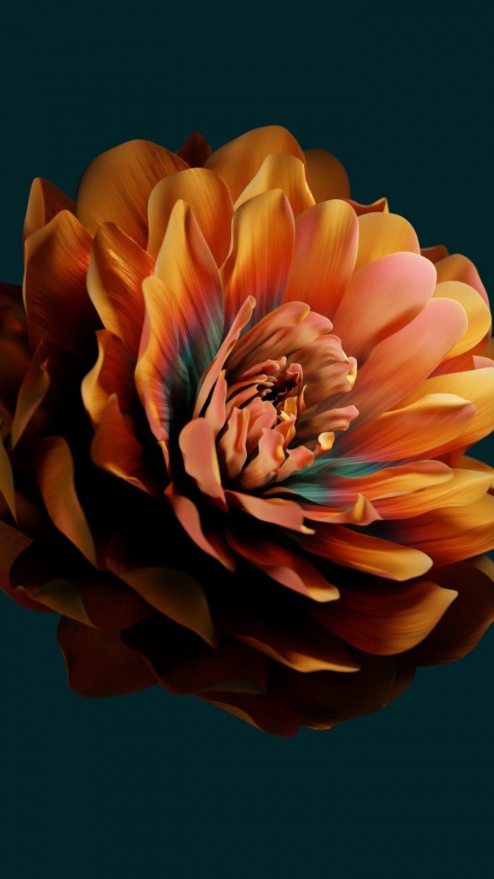 Huawei, Huawei Emui, Xiaomi, Blütenblatt, Gelb. Wallpaper in 720x1280 Resolution