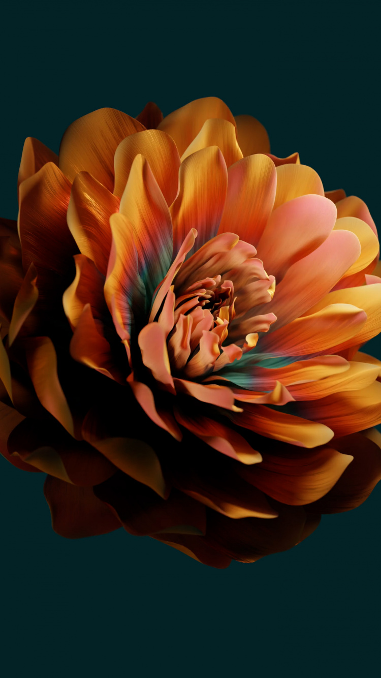 Huawei, Huawei Emui, Xiaomi, Blütenblatt, Gelb. Wallpaper in 750x1334 Resolution