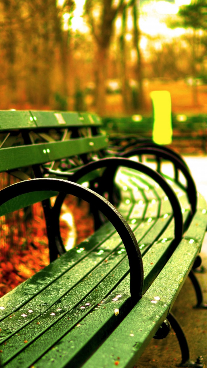 Banc en Bois Marron Sur Sol en Béton Gris. Wallpaper in 720x1280 Resolution