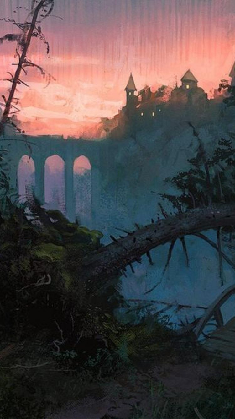 Árboles Verdes Cerca de la Valla de Madera Marrón Durante la Puesta de Sol. Wallpaper in 750x1334 Resolution