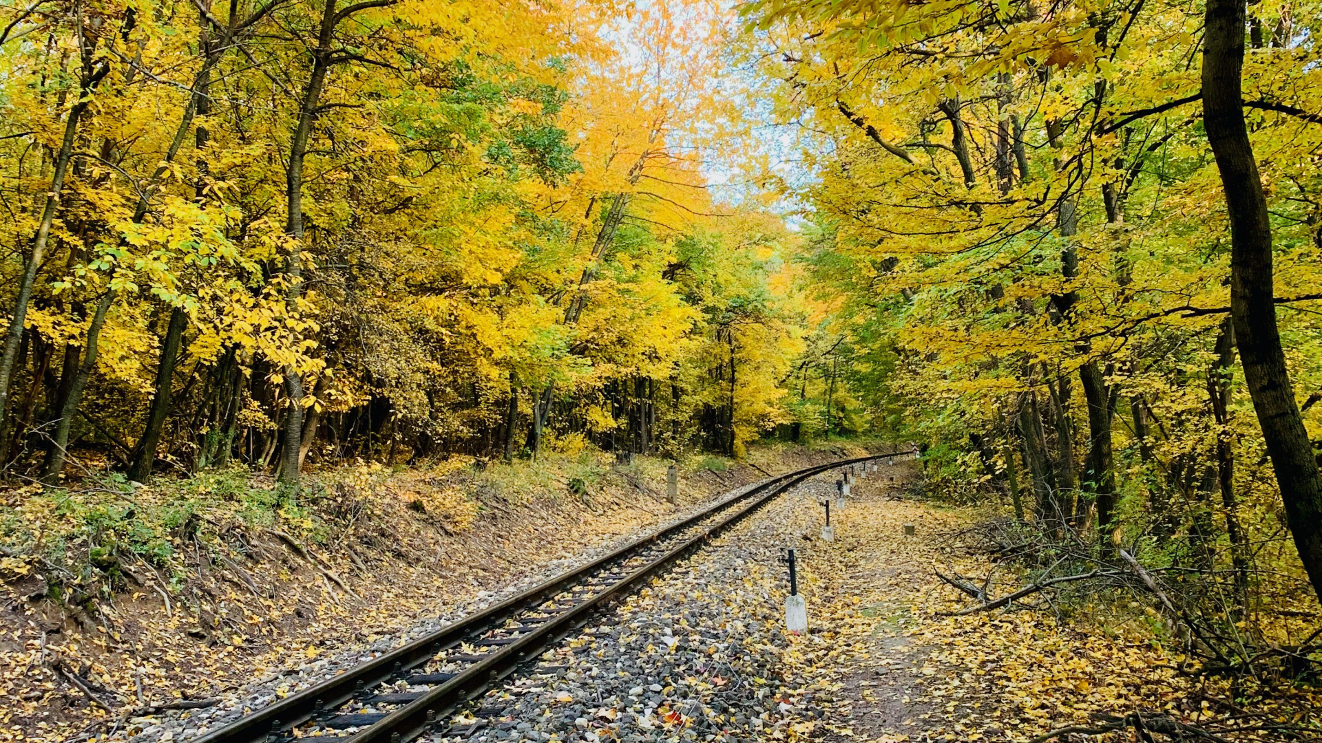 Piste, Les Gens Dans la Nature, Feuille, Paysage Naturel, Jaune. Wallpaper in 1920x1080 Resolution