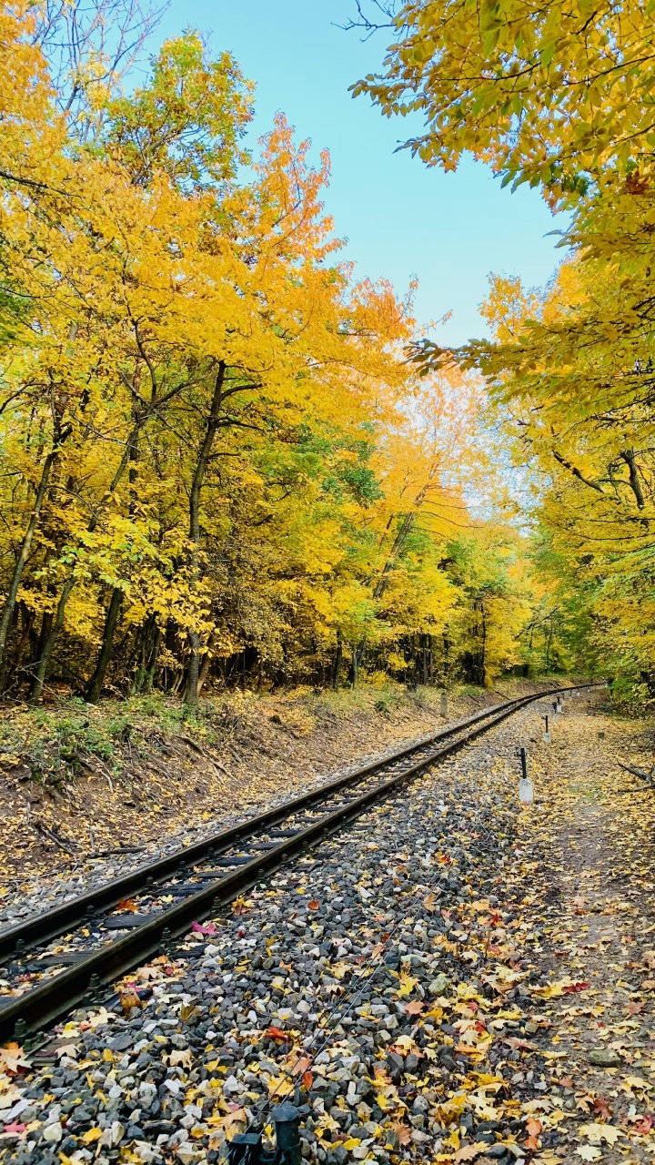 Track, Plant, People in Nature, Leaf, Natural Landscape. Wallpaper in 720x1280 Resolution