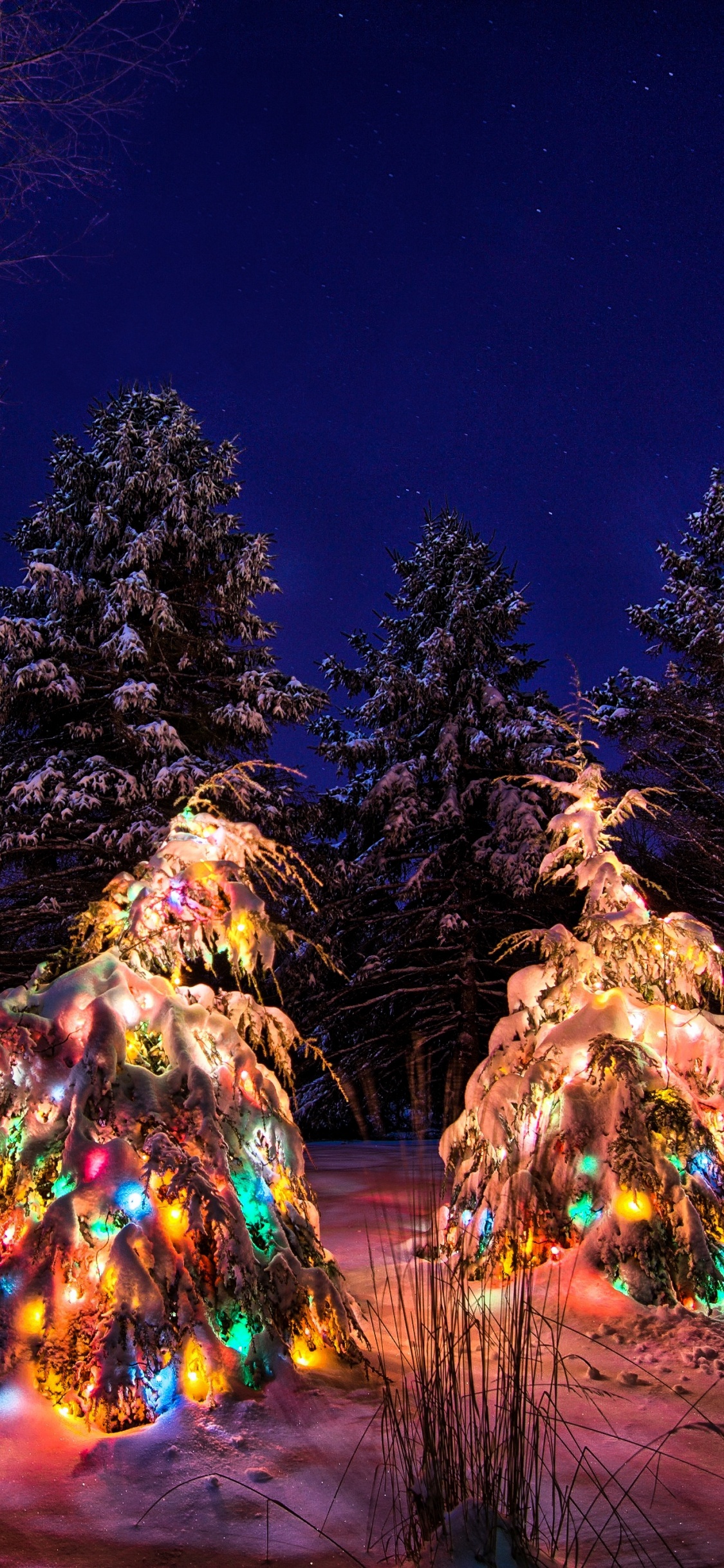 Snow, Garland, Winter, Night, New Year. Wallpaper in 1125x2436 Resolution