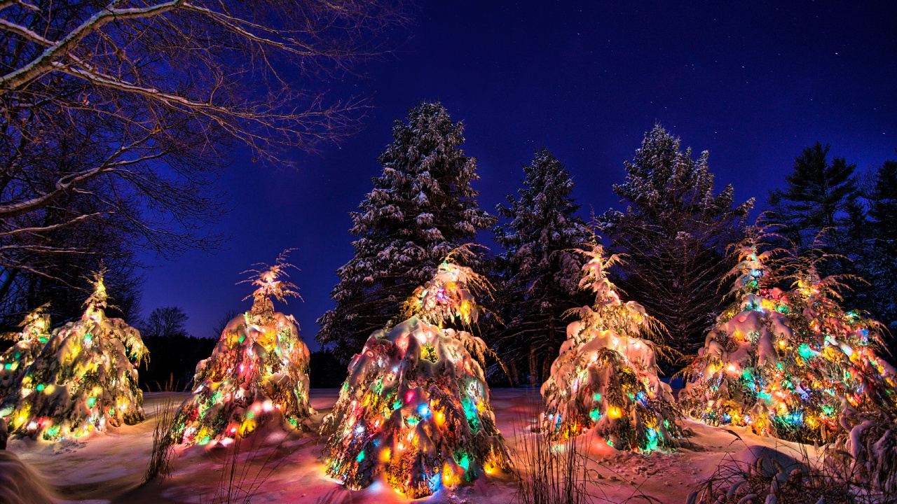 Snow, Garland, Winter, Night, New Year. Wallpaper in 1280x720 Resolution