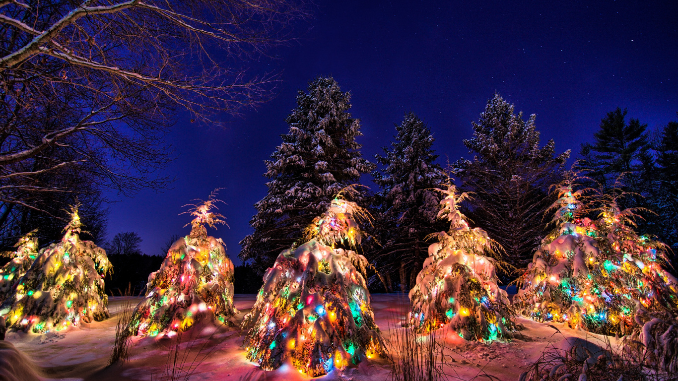 Snow, Garland, Winter, Night, New Year. Wallpaper in 1366x768 Resolution