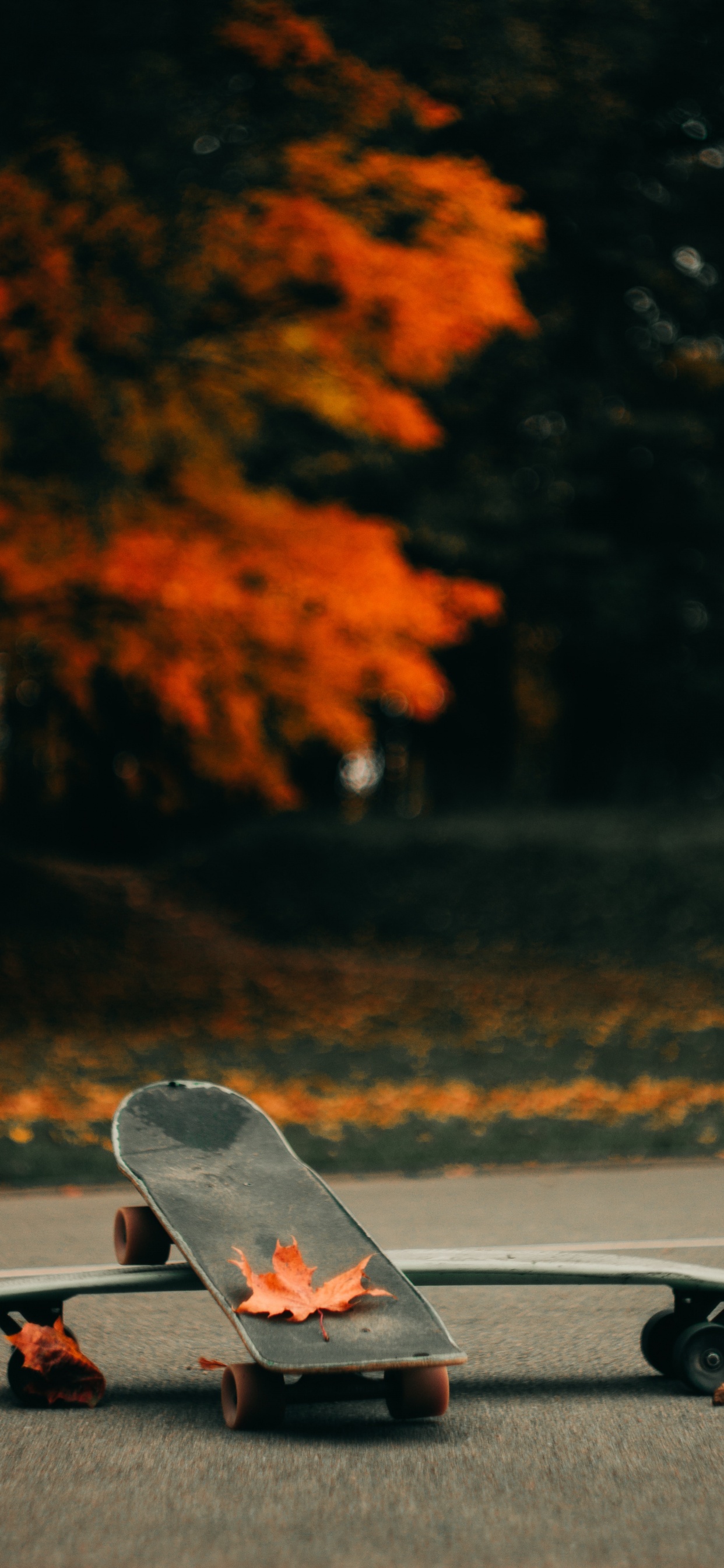 Personne en Baskets Noires et Blanches Marchant Sur la Route Pendant la Journée. Wallpaper in 1242x2688 Resolution