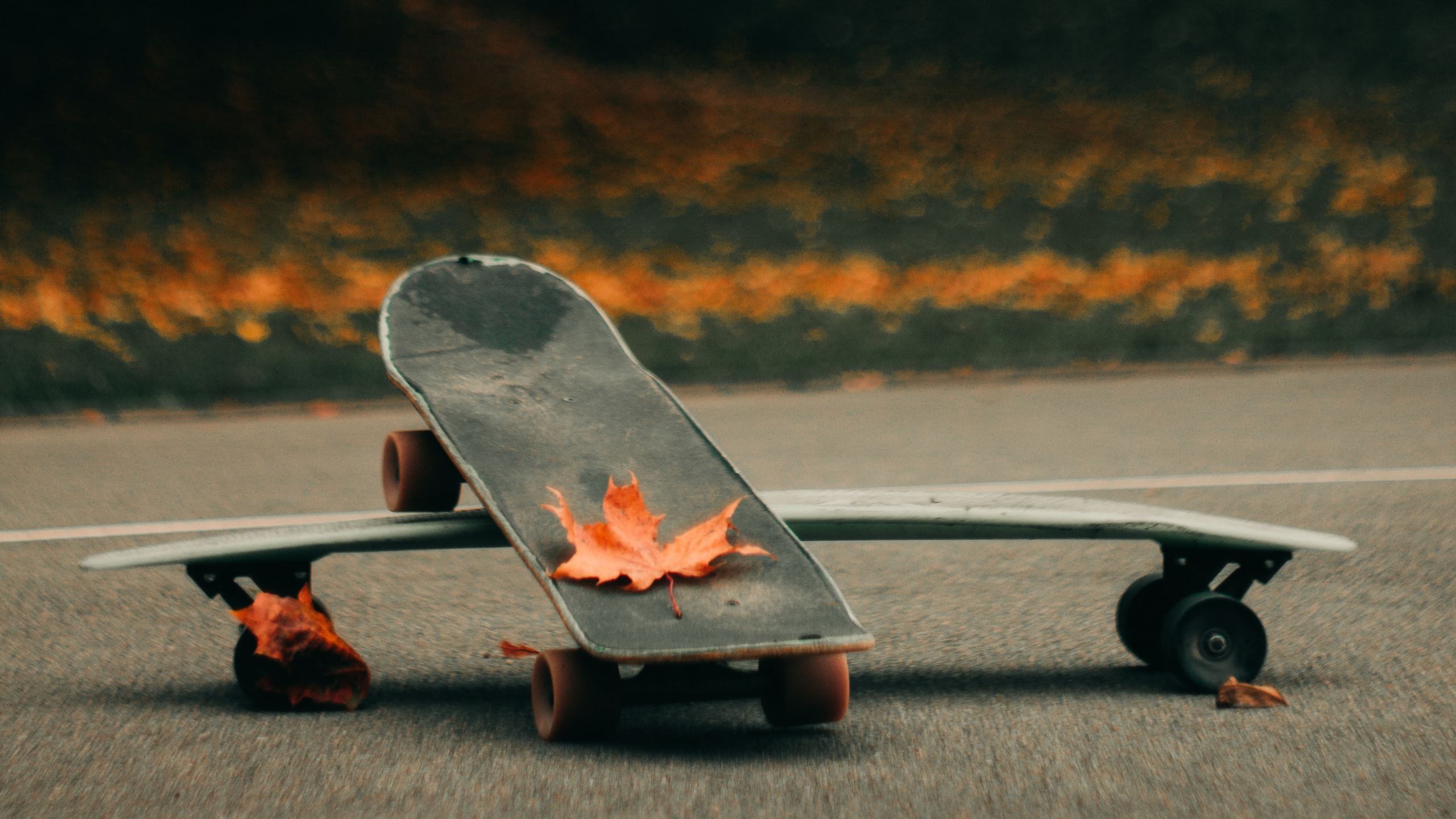 Person in Schwarz-weißen Turnschuhen, Die Tagsüber Auf Der Straße Geht. Wallpaper in 2560x1440 Resolution