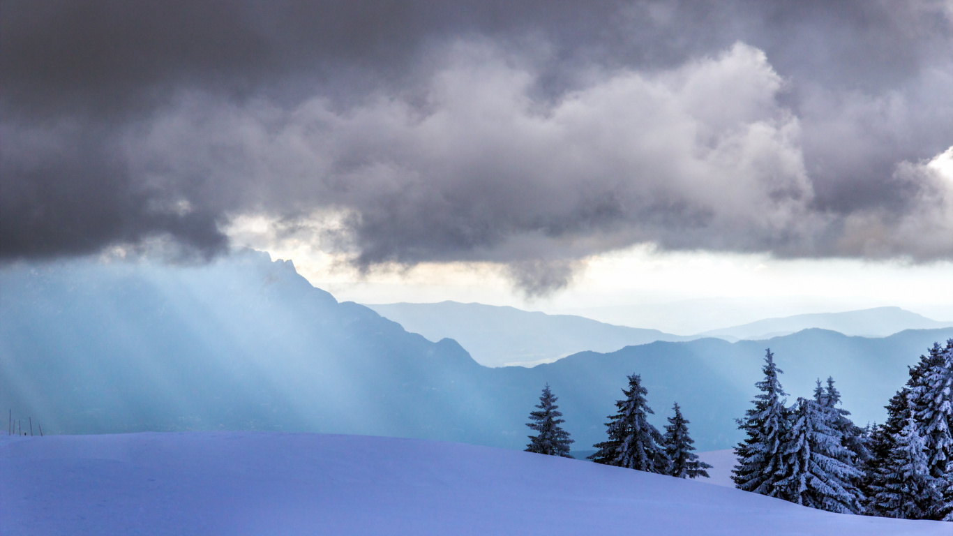 Árboles Verdes Sobre Suelo Cubierto de Nieve Bajo un Cielo Nublado Durante el Día. Wallpaper in 1366x768 Resolution