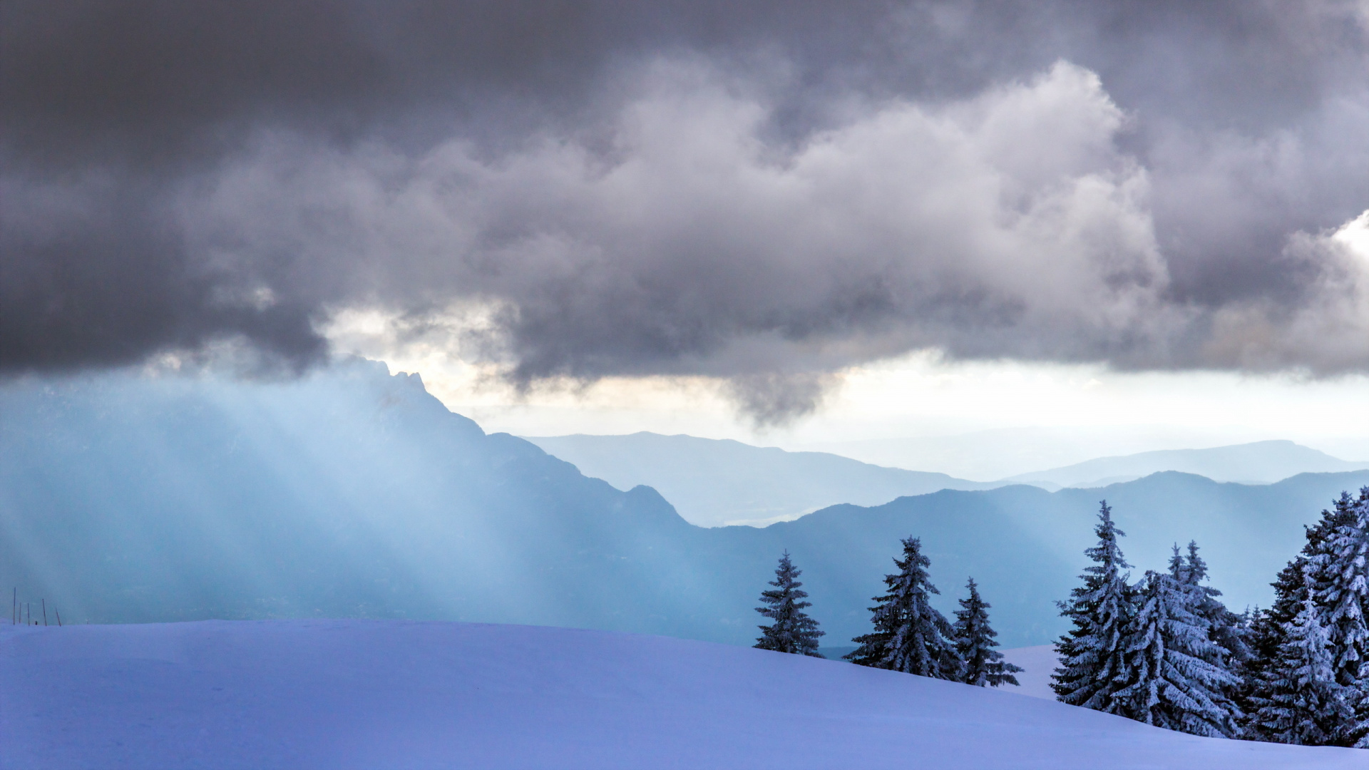 Grüne Bäume Auf Schneebedecktem Boden Unter Bewölktem Himmel Tagsüber. Wallpaper in 1920x1080 Resolution