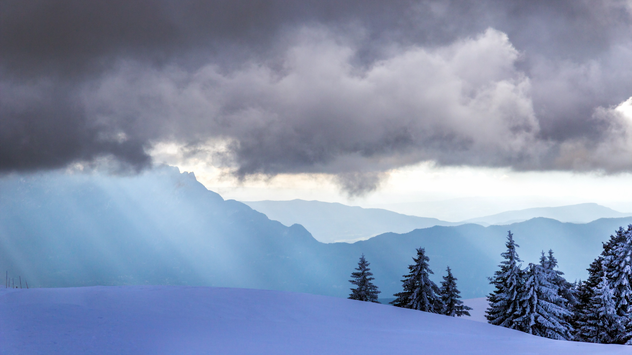 Green Trees on Snow Covered Ground Under Cloudy Sky During Daytime. Wallpaper in 2560x1440 Resolution