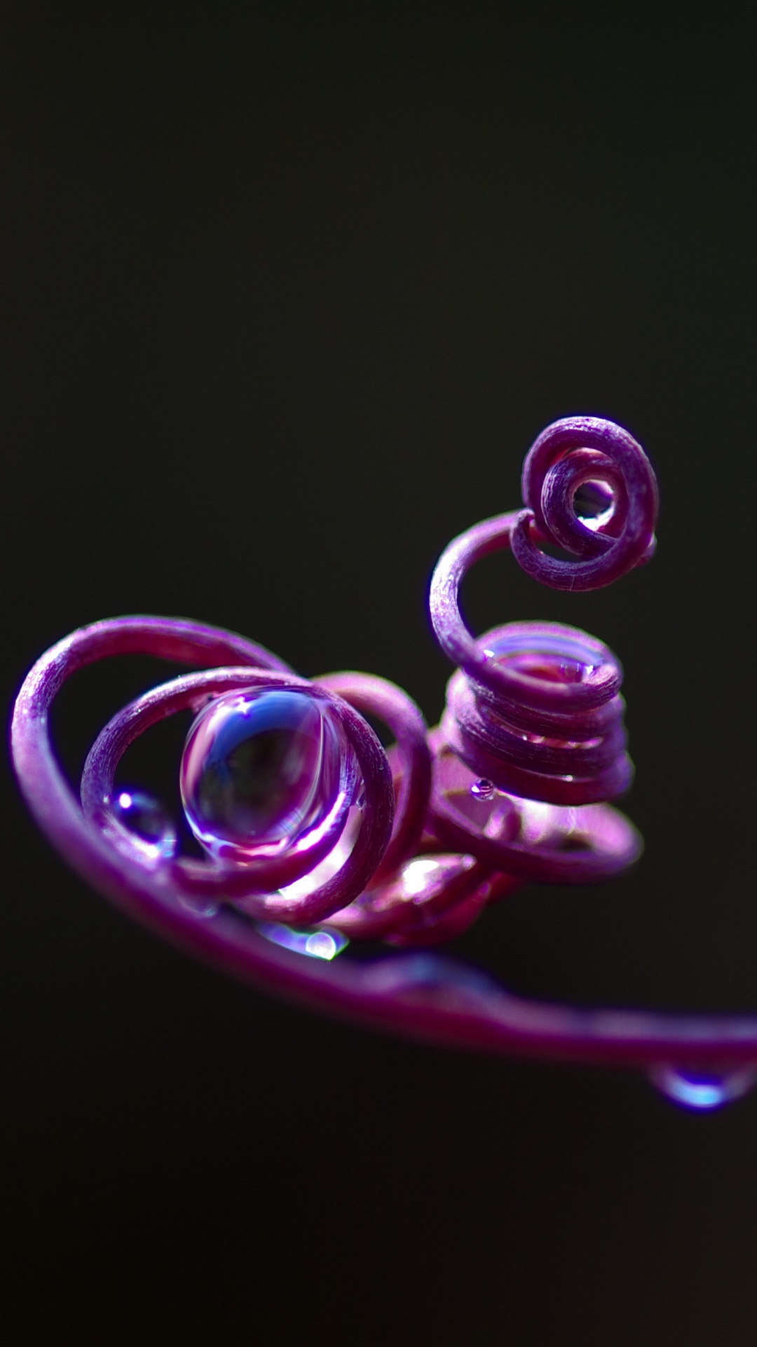 Pink, Purple, Violette, Eau, Magenta. Wallpaper in 1080x1920 Resolution