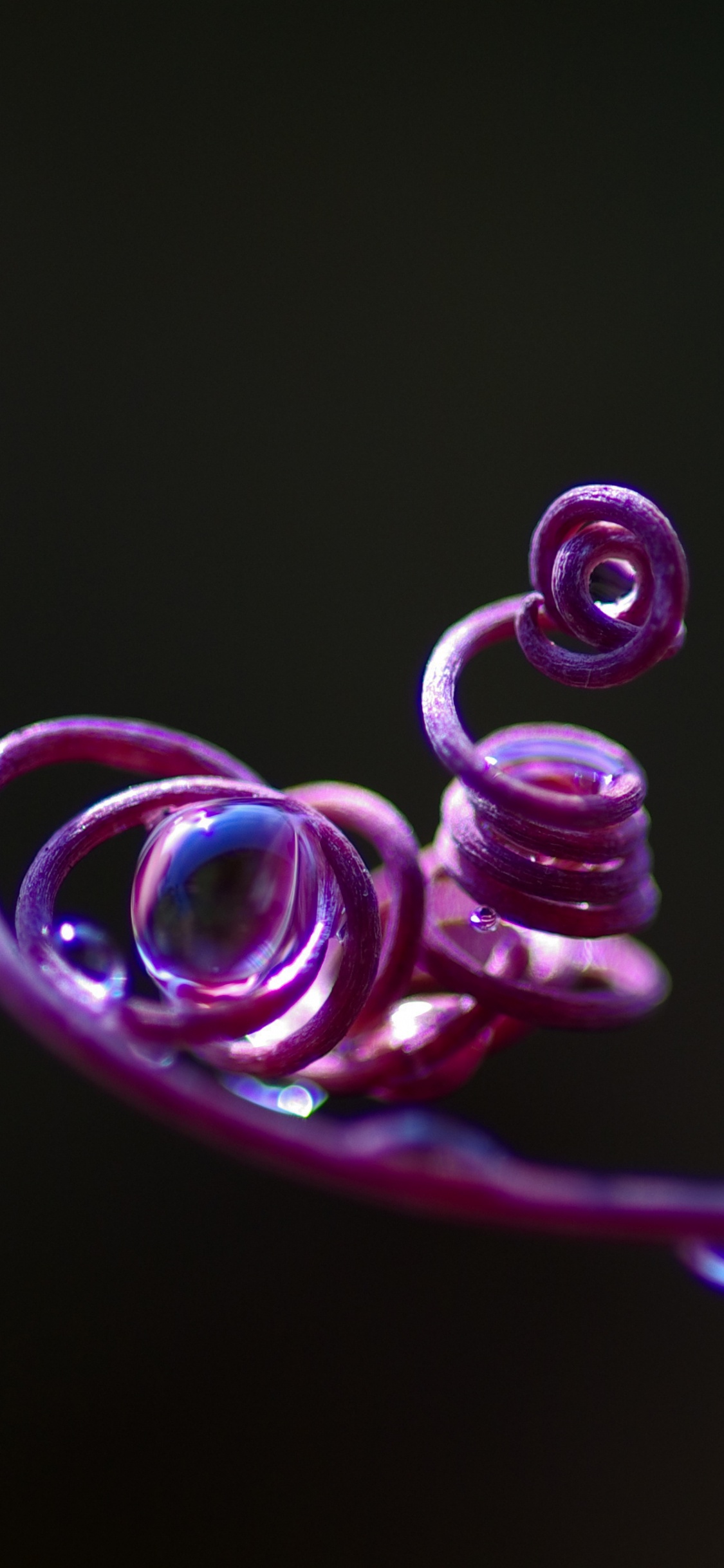 Pink, Purple, Violet, Water, Magenta. Wallpaper in 1125x2436 Resolution