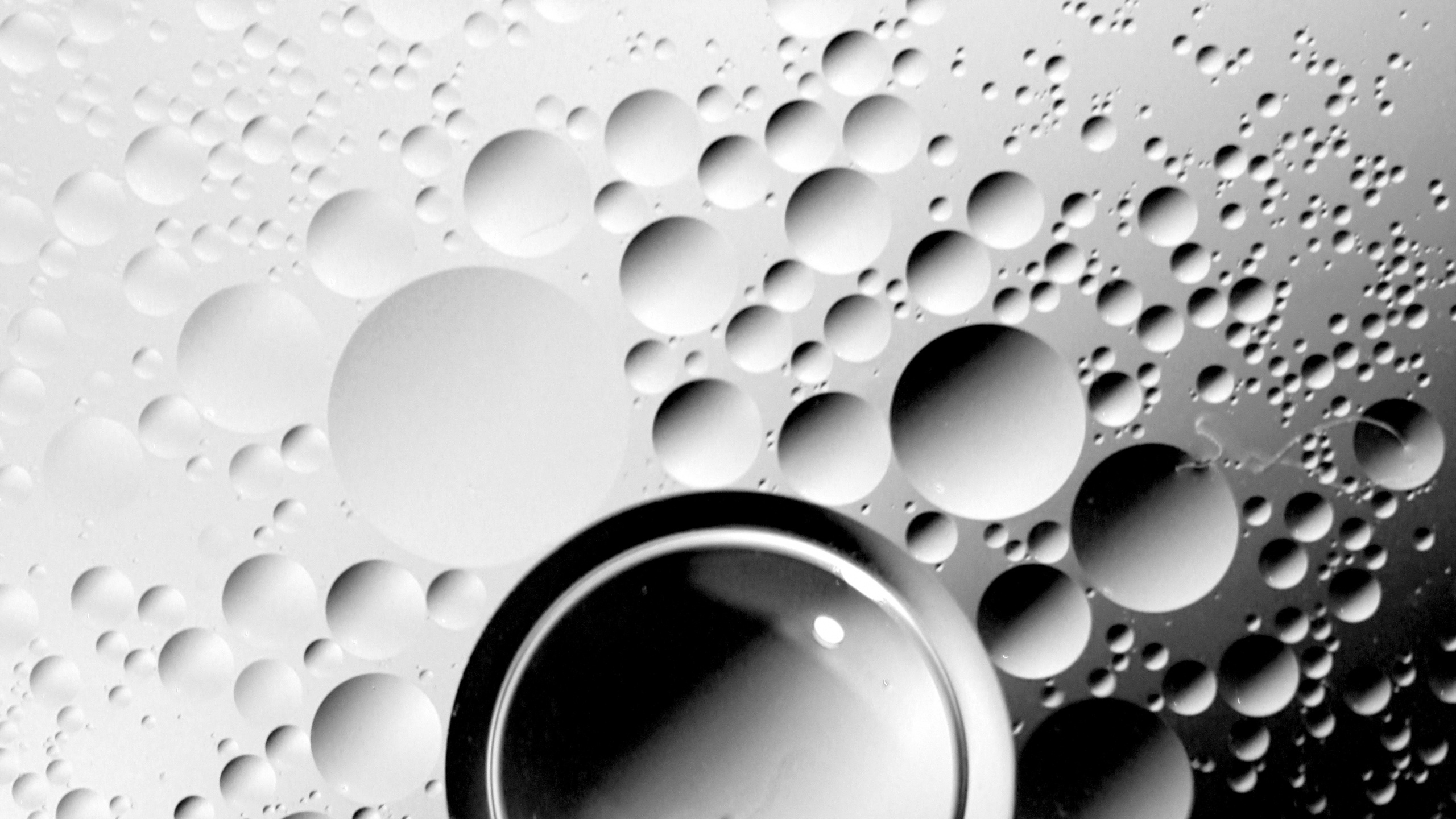 Marco Redondo Blanco y Negro. Wallpaper in 2560x1440 Resolution