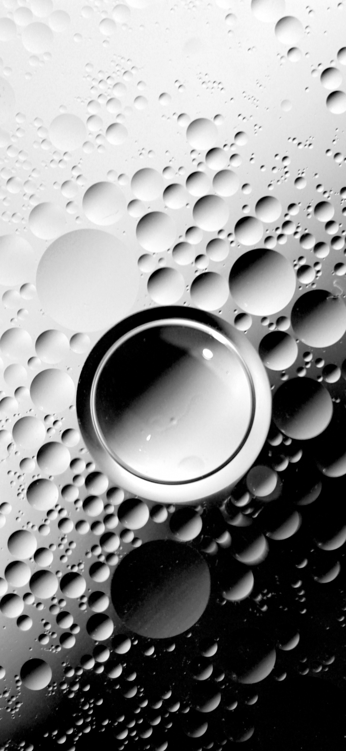 Black and White Round Frame. Wallpaper in 1125x2436 Resolution