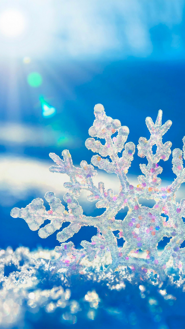 Winter, Plant, Liquid, Blue, Tree. Wallpaper in 750x1334 Resolution