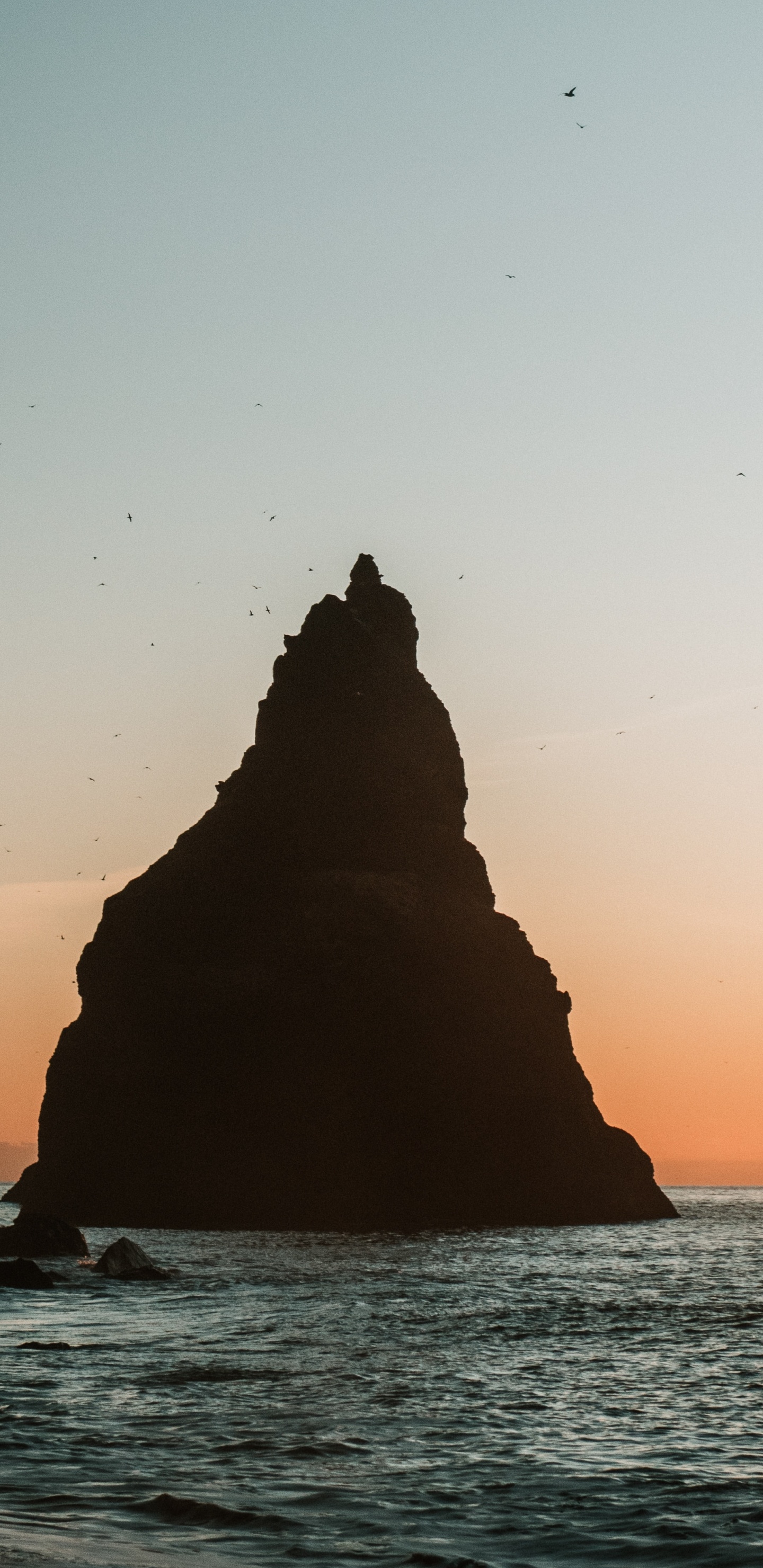 Küste, Küsten-und Ozeanischen Formationen, Reynisdrangar, Stack, Rock. Wallpaper in 1440x2960 Resolution