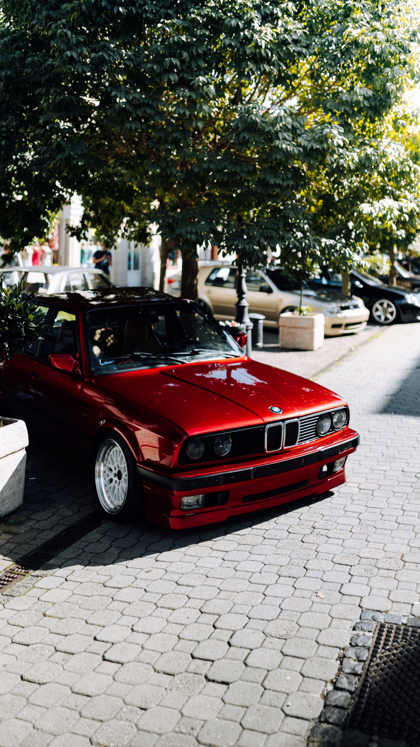 Bmw M3, BMW, Voiture Compacte, Bmw Série 3 E30, Bmw Série 3. Wallpaper in 1440x2560 Resolution