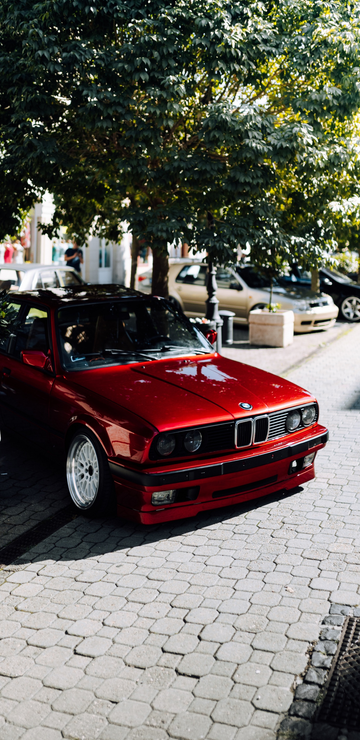 Bmw M3, BMW, Voiture Compacte, Bmw Série 3 E30, Bmw Série 3. Wallpaper in 1440x2960 Resolution