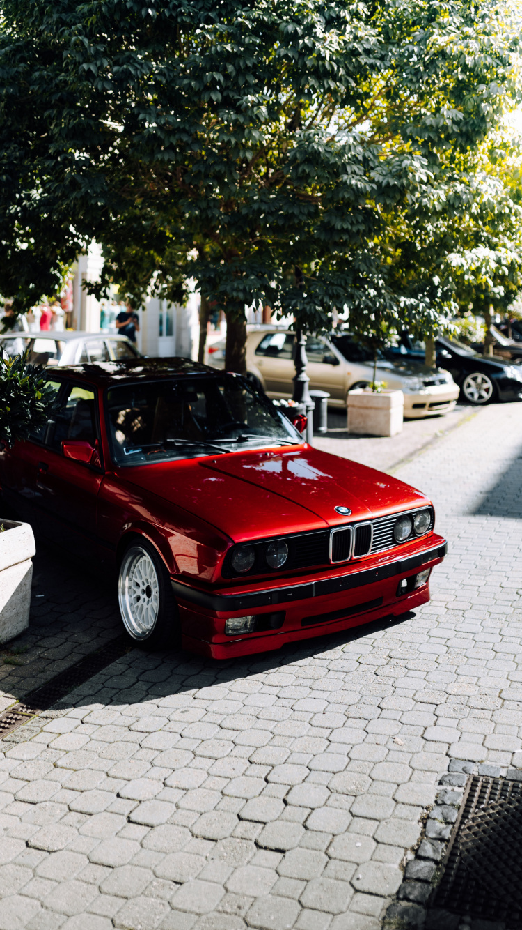 Bmw M3, BMW, Voiture Compacte, Bmw Série 3 E30, Bmw Série 3. Wallpaper in 750x1334 Resolution