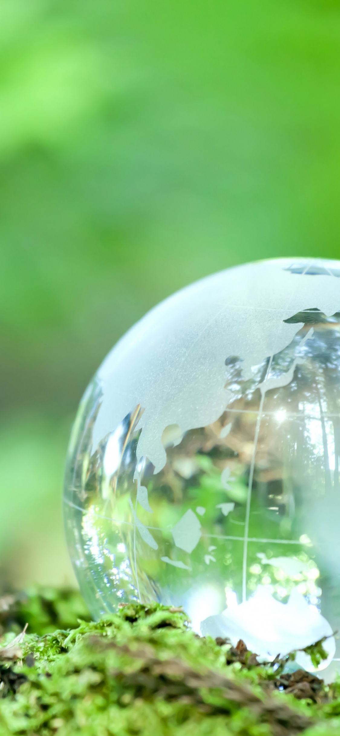 Agua, Sistema, Paisaje Natural, la Vegetación, la Luz Del Sol. Wallpaper in 1125x2436 Resolution