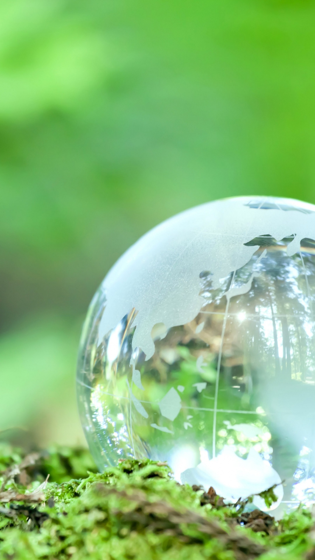 Water, System, Plant, Leaf, Natural Landscape. Wallpaper in 1080x1920 Resolution