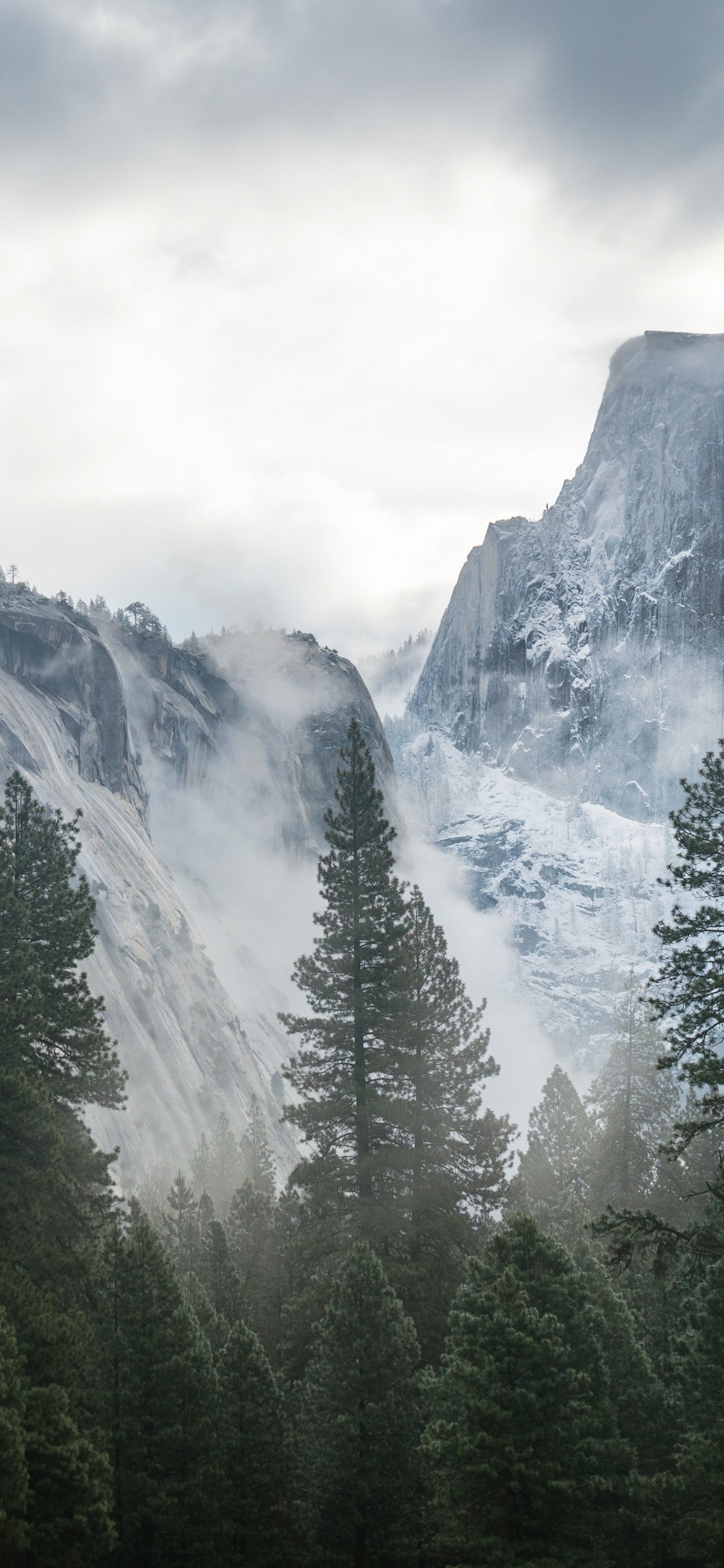Green Pine Trees Near Snow Covered Mountain Under White Clouds During Daytime. Wallpaper in 1125x2436 Resolution
