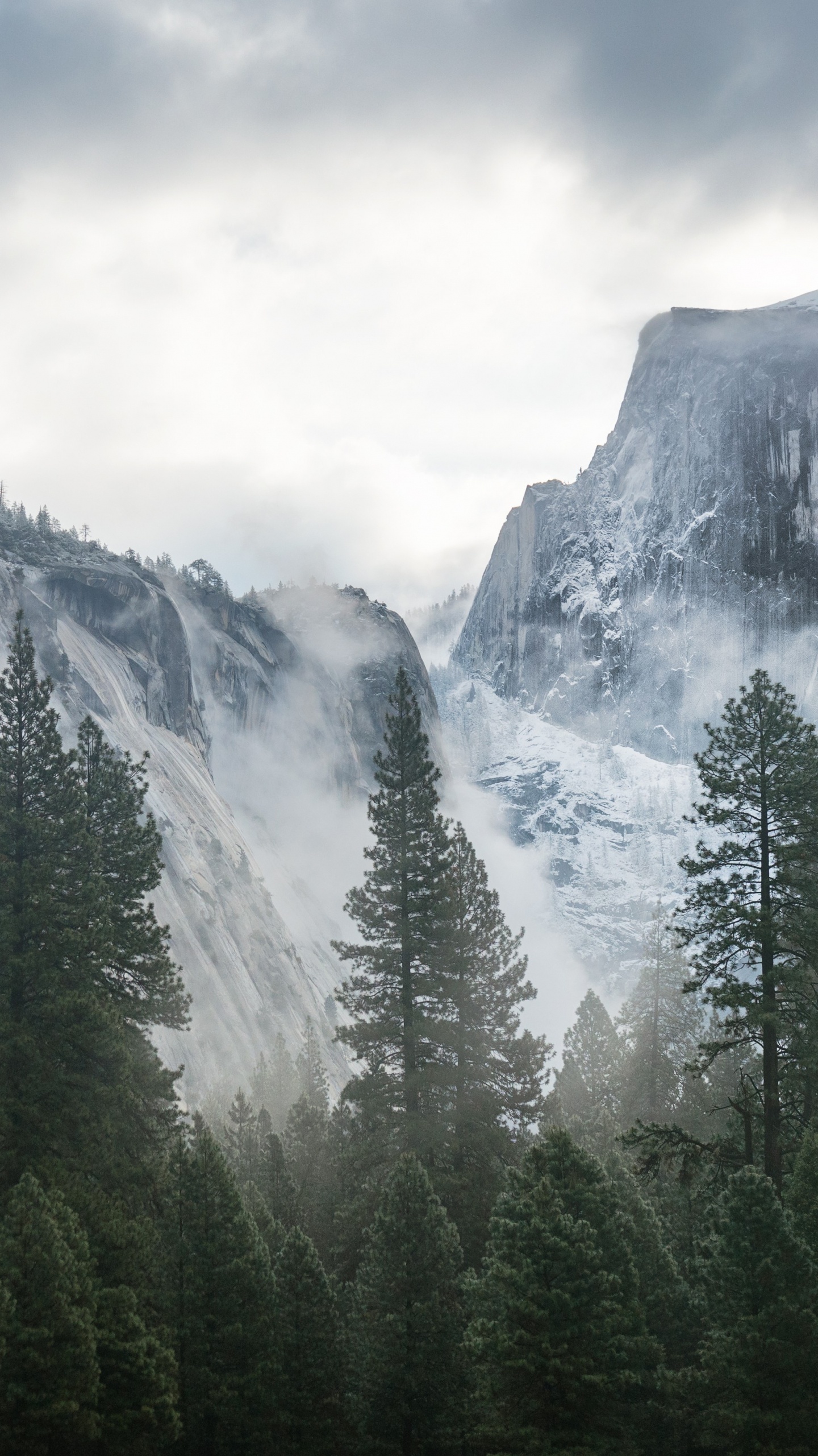 Green Pine Trees Near Snow Covered Mountain Under White Clouds During Daytime. Wallpaper in 1440x2560 Resolution