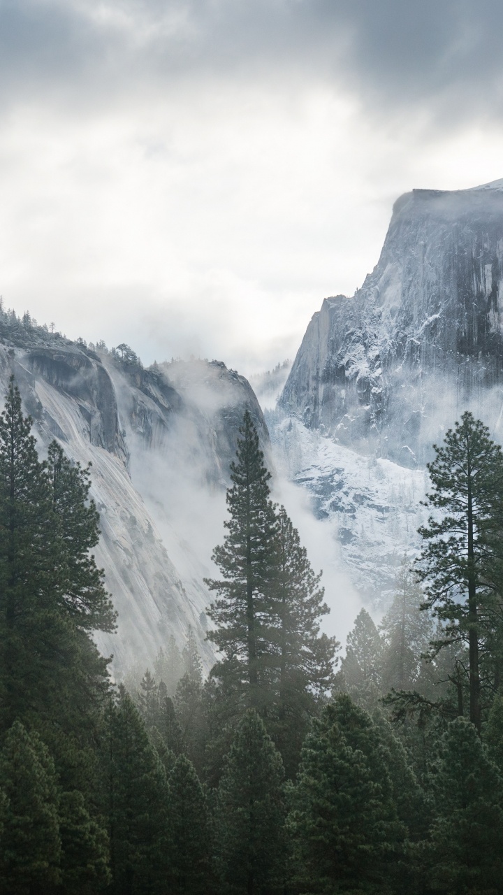 Green Pine Trees Near Snow Covered Mountain Under White Clouds During Daytime. Wallpaper in 720x1280 Resolution
