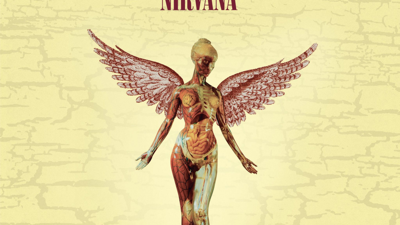 Nirvana, Album, Réédition, Disque de Phonographe, Illustration. Wallpaper in 1280x720 Resolution