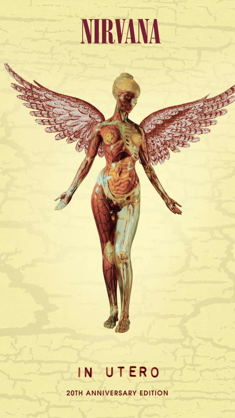 Nirvana, Album, Réédition, Disque de Phonographe, Illustration. Wallpaper in 750x1334 Resolution