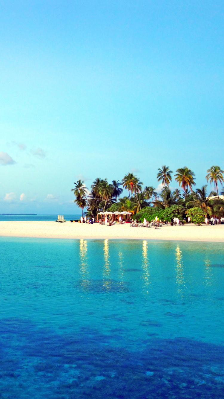 Arbres Verts Sur L'île Entourée D'eau de Mer Bleue Pendant la Journée. Wallpaper in 750x1334 Resolution