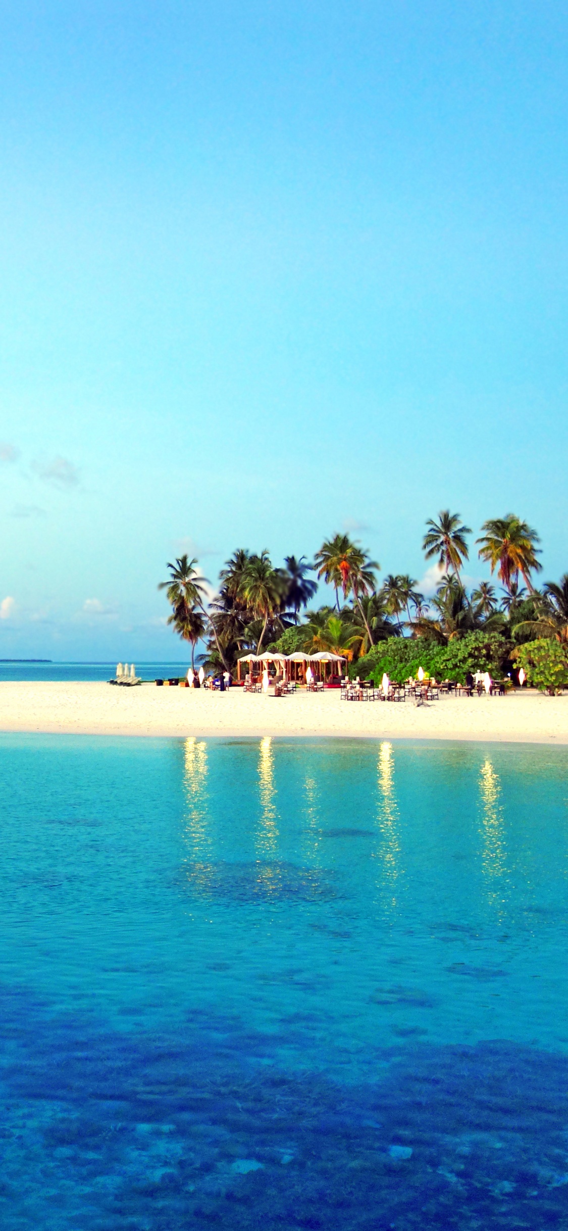 Green Trees on Island Surrounded by Blue Sea Water During Daytime. Wallpaper in 1125x2436 Resolution