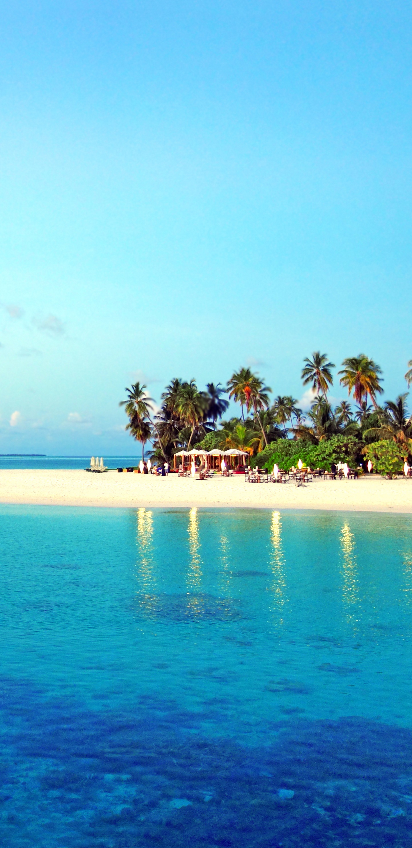 Árboles Verdes en la Isla Rodeada de Agua de Mar Azul Durante el Día. Wallpaper in 1440x2960 Resolution