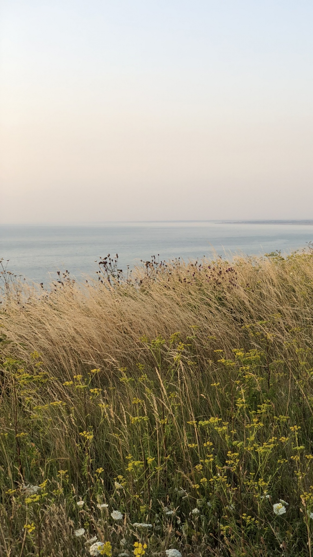 Meer, Vegetation, Natürlichen Umgebung, Pflanzen-Gemeinschaft, Horizont. Wallpaper in 1080x1920 Resolution