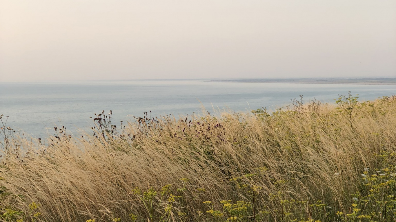 Meer, Vegetation, Natürlichen Umgebung, Pflanzen-Gemeinschaft, Horizont. Wallpaper in 1366x768 Resolution