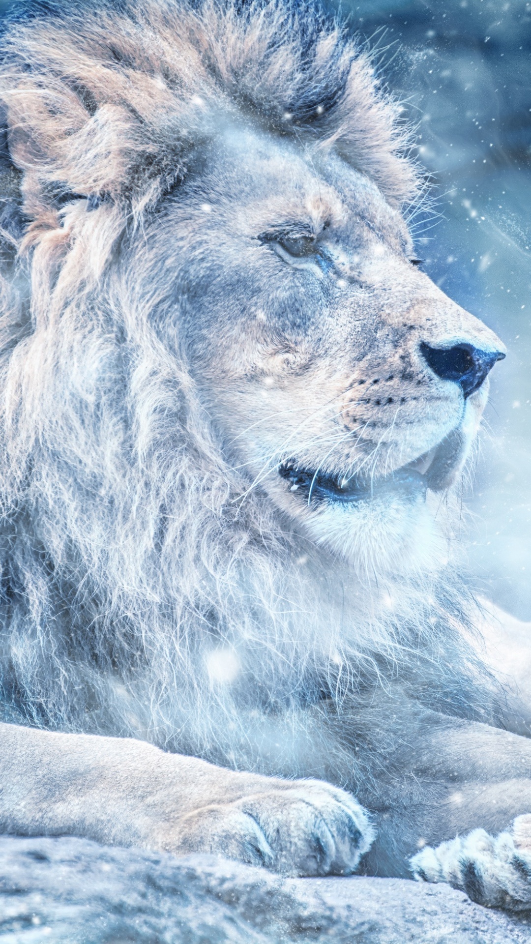 Lion Lying on Water During Daytime. Wallpaper in 1080x1920 Resolution