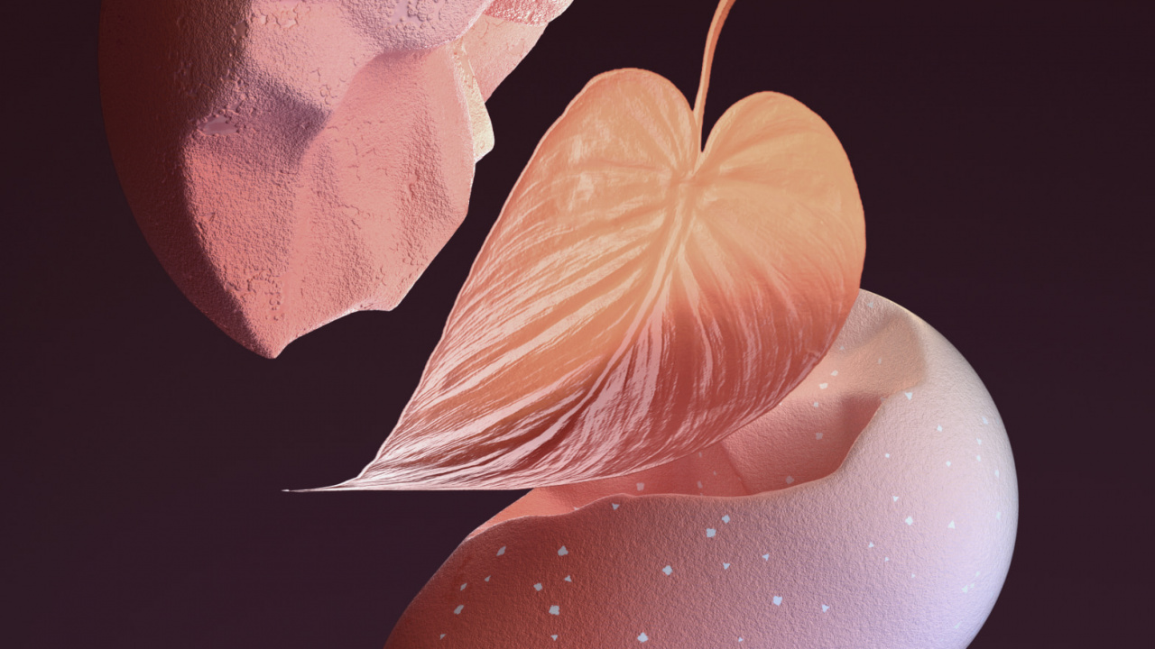 Meizu 20 Stock, Meizu, Smartphone, Xiaomi, Xiaomi Community. Wallpaper in 1280x720 Resolution