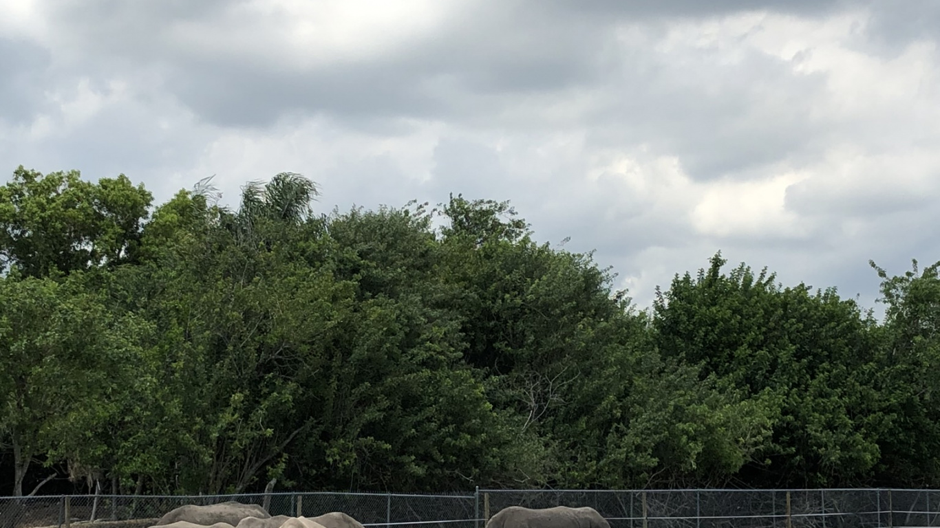Grassland, Nature Reserve, Zebra, Natural Landscape, Grazing. Wallpaper in 1366x768 Resolution