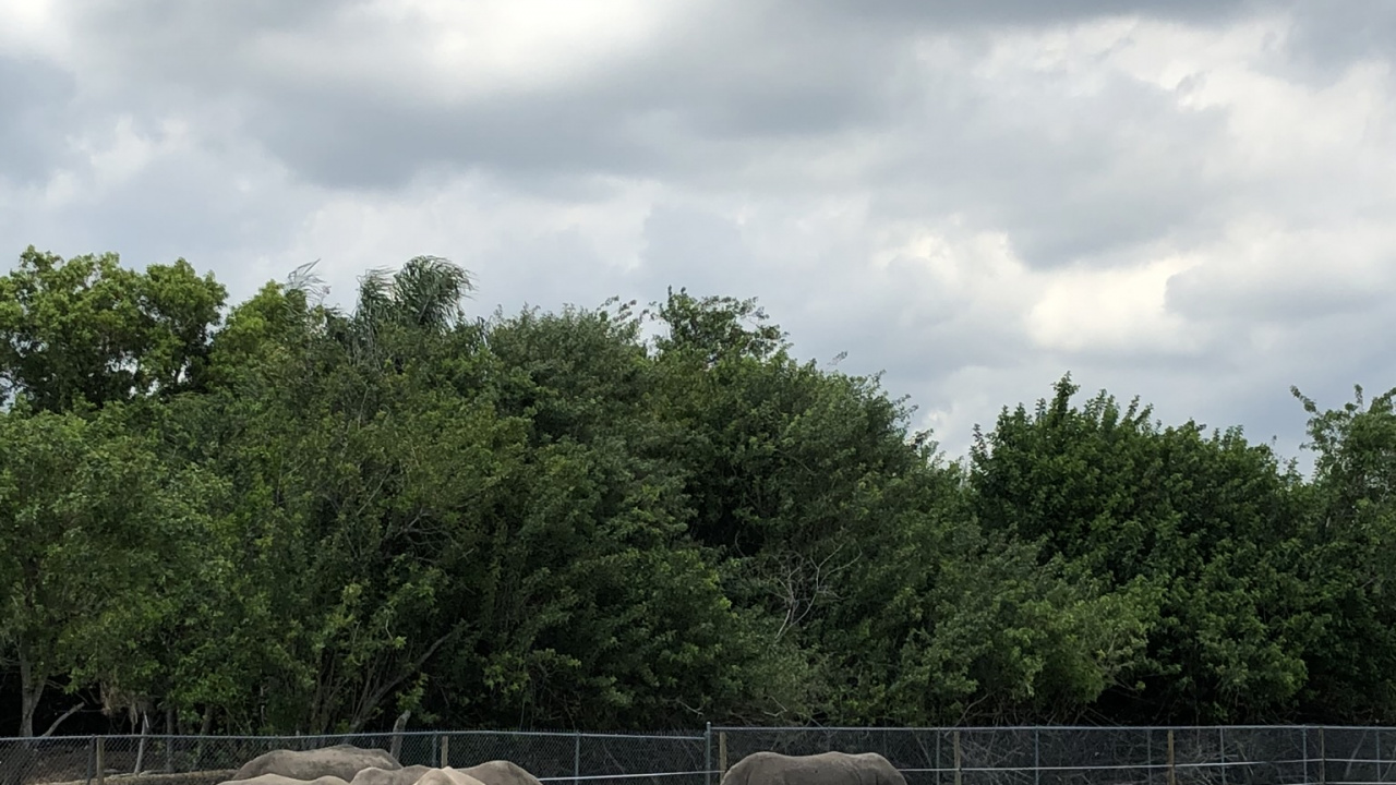 Prairie, la Réserve Naturelle De, Zèbre, Paysage Naturel, le Pâturage. Wallpaper in 1280x720 Resolution