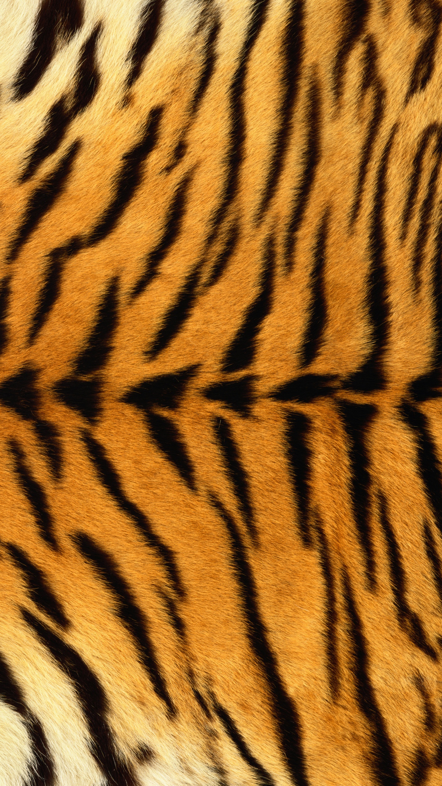 Textil Tigre Marrón y Negro. Wallpaper in 1440x2560 Resolution