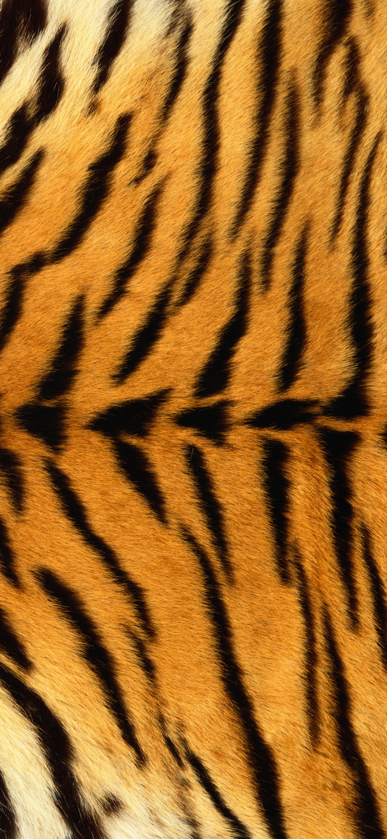 Textile Tigre Marron et Noir. Wallpaper in 1242x2688 Resolution