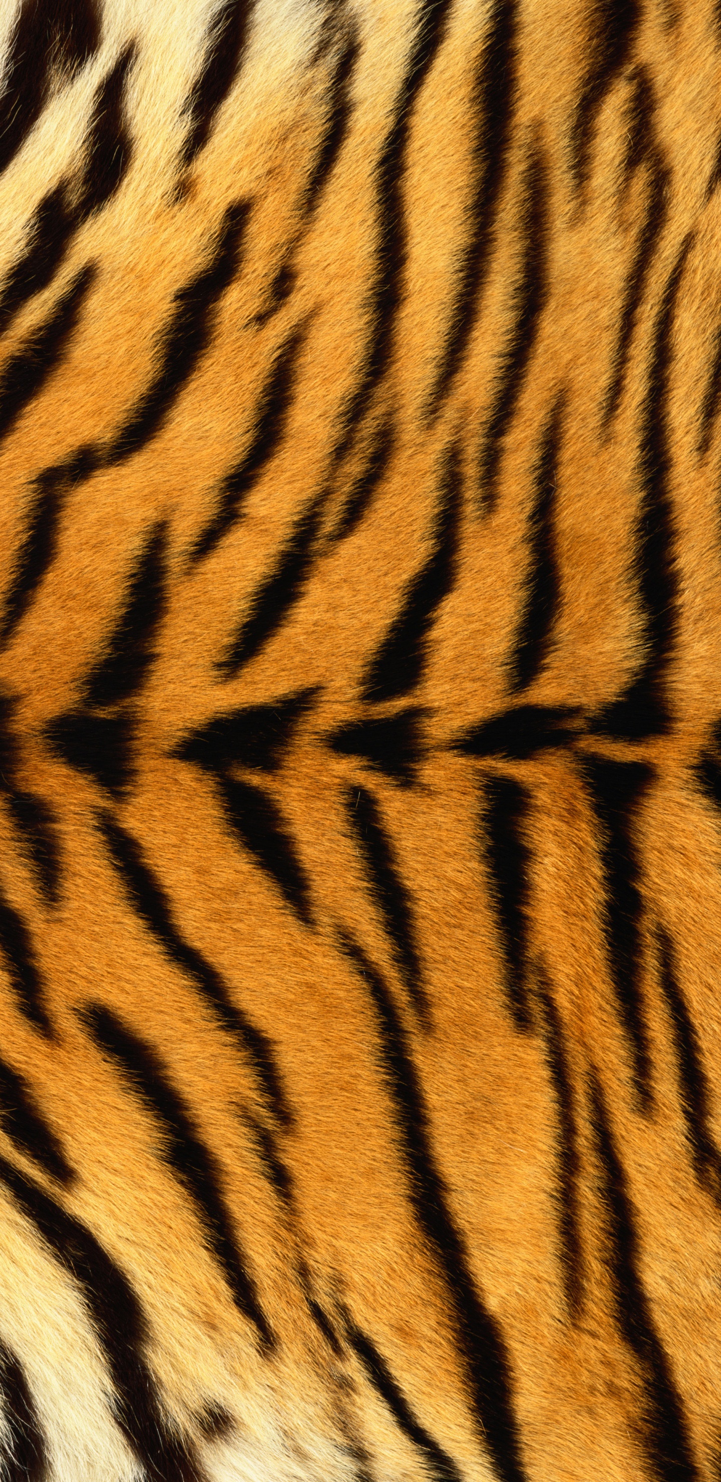 Braunes Und Schwarzes Tiger-Textil. Wallpaper in 1440x2960 Resolution