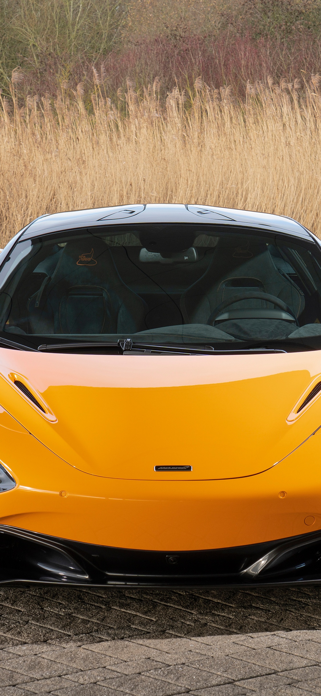 Lamborghini Aventador Orange Sur Champ Brun Pendant la Journée. Wallpaper in 1125x2436 Resolution