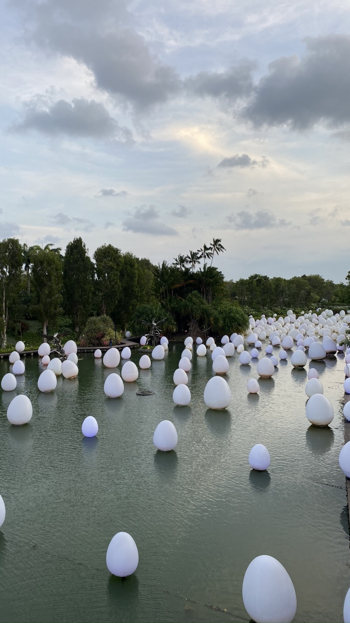 反射, 水资源, 旅游业, 性质, 生物群落 壁纸 720x1280 允许