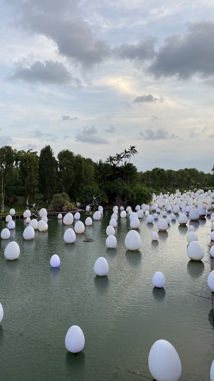 反射, 水资源, 旅游业, 性质, 生物群落 壁纸 750x1334 允许