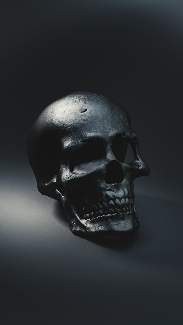Black Skull, Skeleton, Human Skull, Skull and Crossbones, Black. Wallpaper in 750x1334 Resolution