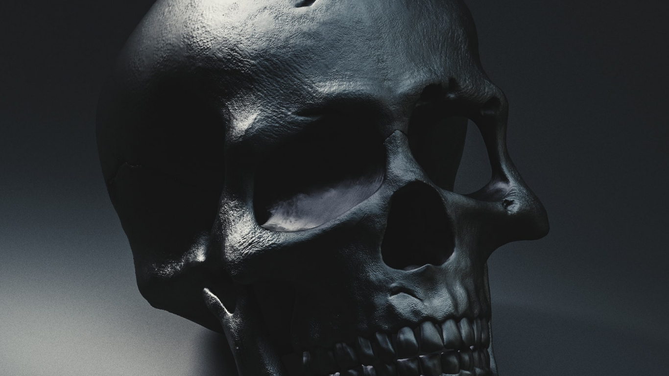 Calavera Negra, Esqueleto, Cráneo Humano, Negro, Cabeza. Wallpaper in 1366x768 Resolution