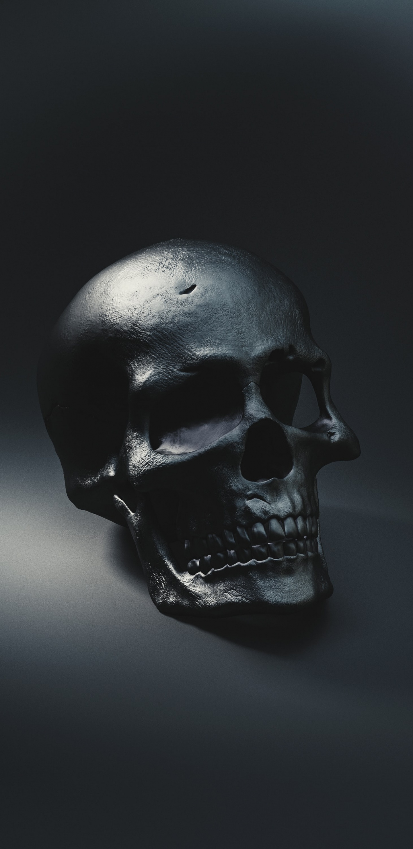 Crâne Noir, Squelette, Crâne Humain, Crâne et os Croisés, Noir. Wallpaper in 1440x2960 Resolution